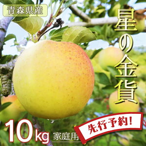 ys\ ƒp ̋݁z S  ь ringo ʌ 2025NY XY X ƒp 󂠂 ̋ 10kg (32ʁ`50ʓ) Yn H_ 