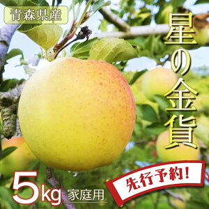 ys\ ̋݁z S  ь ringo ʌ 2025NY XY X ƒp 󂠂 ̋ 5kg (16ʁ`25ʓ) Yn H_   
