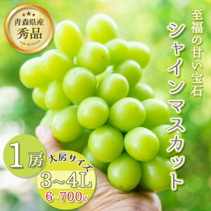 ys\ ̂܂ܔ炲ƐHׂzVC}XJbg 1[ 600`700g Gi 3`4L [TCY  XY }XJbg Ȃ Ԃǂ Ԍ ʌ ʕ  t[c ґO