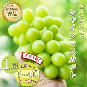 ys\ ̂܂ܔ炲ƐHׂzVC}XJbg 1[ 600`700g Gi 3`4L [TCY  XY }XJbg Ȃ Ԃǂ Ԍ ʌ ʕ  t[c ґO