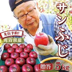 ys\ pz  S  ь ringo 2025NY XY ƒp p Tӂ 5kg (12ʁ`25ʑO) Yn H_  Mtg 蕨  󂠂 񂲔 