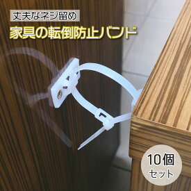 家具 転倒防止 ベルト ストッパー グッズ 地震対策 防災 耐震 耐震ストッパー 落下防止 家具