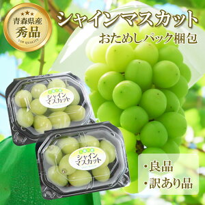 y߂pbNzVC}XJbg XY Ǖi 󂠂 TCY pbN ol 嗱TCY  }XJbg Ȃ Ԃǂ Ԍ ʌ ʕ  t[c 