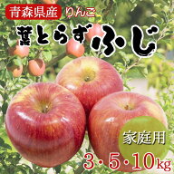 【24時間限定クーポン配布中】【ふじりんご】葉とらず りんご リンゴ 林檎 ringo 2026年 青森県産 ふじ …