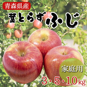 ys\ ӂ񂲁ztƂ炸  S ь ringo 2025N XY ӂ  ƒp 󂠂 3kg 5kg 10kg tƂ炸ӂ Yn H_  SSS