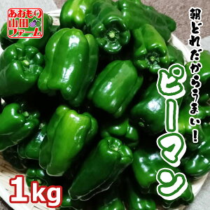 �y�C�x���g�N�[�|���z�z���z�y��s�\�� ���ǂ� �s�[�}���z�s�[�}�� ��� �o�� �l�ߍ��킹 1�L�� ���ǂ� �V�N��� �̂ꂽ�� �X���Y �Y�� ���� �Y�n���� �_�ƒ��� �������� ���Ԍ��� �����