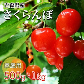 【先行予約 家庭用さくらんぼ 紅秀峰 佐藤錦】さくらんぼ 家庭用 訳あり 500g 1kg 2025年 青森県産 朝どれ 産地直送 農家直送 佐藤錦 サトウニシキ 果物 フルーツ お取り寄せ