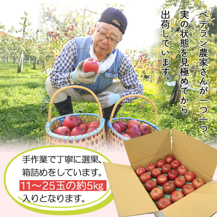 楽天市場】【ポイント2倍☆24時間限定クーポン配布中】りんご リンゴ 