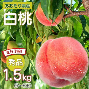 ys\  쒆z  momo ʕ t[c   Gi 2026NY XY 1.5L ǂ  Yn  ̂  hV̓  󂠂 R a̎R ӂ邳