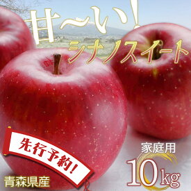 【エントリーで5倍★24時間限定クーポン配布】【先行予約】りんご リンゴ 送料無料 林檎 ringo 数量限定 2024年産 青森県産りんご ご家庭用 訳あり シナノスイート 10kg (約32玉～46玉入り) 産地直送 工藤農園 蜜入り おいしい おすすめ