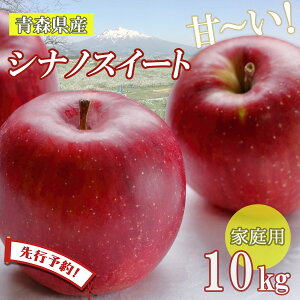 y2ԌN[|zzzys\VimXC[gz S  ь ringo ʌ 2025NY XY ƒp 󂠂 VimXC[g 10kg (32ʁ`46ʓ) Yn