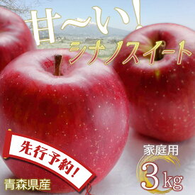 【24時間限定クーポン配布中】【先行予約】りんご リンゴ 送料無料 林檎 ringo 数量限定 2024年産 青森県産りんご ご家庭用 訳あり シナノスイート 3kg (約9玉～12玉入り) 産地直送 工藤農園 蜜入り おいしい おすすめ