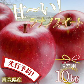 【24時間限定クーポン配布中】【先行予約】りんご リンゴ 送料無料 林檎 ringo 数量限定 2024年産 青森県産りんご 秀品 贈答用 のし無料 シナノスイート 10kg (約32玉～46玉入り) 産地直送 工藤農園 蜜入り おいしい おすすめ