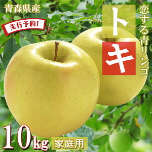 yGg[4{24ԌN[|zzzygL z S  ь ringo ʌ 2025NY XY X ƒp 󂠂 gL 10kg (32ʁ`50ʓ) Yn