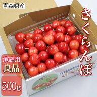 【先行予約 朝採り直送 青森さくらんぼ】500g 品種おまかせ 紅秀峰 佐藤錦 サミット 香夏錦 高砂 南陽 産…