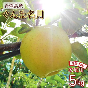 ys\ ƒp ܖz  S  ь ringo ʌ 2025NY XY X ƒp 󂠂 ܖ 5kg (16ʁ`25ʓ) Yn H_ 