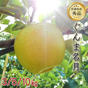 y2025NY X񂲁zܖ   S  ь ringo 2025NY XY 茧 ܖ 3kg 5kg 10kg Yn H_ Mtg 蕨  lC