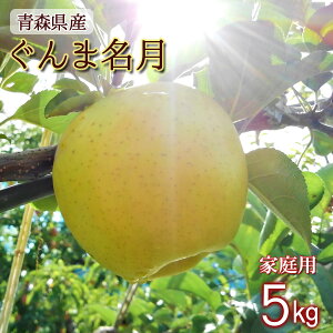 yƒp ܖz  S  ь ringo ʌ 2025NY XY X ƒp 󂠂 ܖ 5kg (11ʁ`25ʓ) Yn H_  