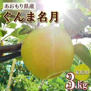 yƒpz  S  ь ringo ʌ 2025NY XY X ƒp 󂠂 ܖ 3kg (7ʁ`15ʓ) Yn H_   