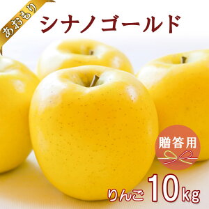 y2025NY XY񂲁z S  ь ringo 2025NY XY ƒp p VimS[h 10kg (28ʁ`40ʓ) Yn H_ Mtg