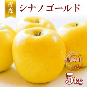 yGg[5{24ԌN[|zzzyp VimS[h z S  ь ringo 2025NY XY ƒp p VimS[h 5kg (12ʁ`20ʓ) 