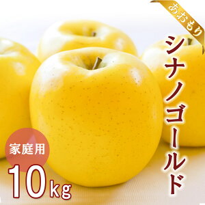 yXY VimS[hz S  ь ringo 2025NY XY ƒp 󂠂 VimS[h 10kg (32ʁ`50ʓ) Yn H_ 󂠂