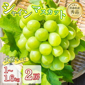 ys\ TCY2[zVC}XJbg 2[ Gi [TCY 1kg 1.6kg  XY }XJbg Ȃ Ԃǂ Ԍ ʌ ʕ  t[c ґO 