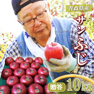 ys\z  S  ь ringo 2025NY XY ƒp p Tӂ 10kg (24ʁ`46ʑO) Yn H_  Mtg 蕨  󂠂 񂲔 