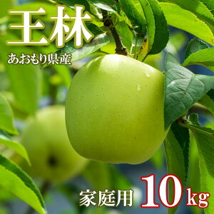 y 󂠂z S  ь ringo 2025NY XY ƒp 󂠂  10kg i24ʁ`50ʓjYn H_  񂲐| 񂲔 񂲃W[X