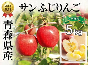 青森県産 サンふじの人気商品 通販 価格比較 価格 Com