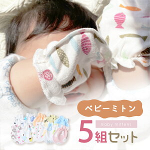 y24ԌN[|zzzyA\[g5Zbgzxr[~g 100 킢 Mtg Vp  xr[ Ԃ ~g ܁@Ђh~ I[V[Y oYj