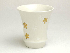 Lcāy̑z WEOXE t() ݁E