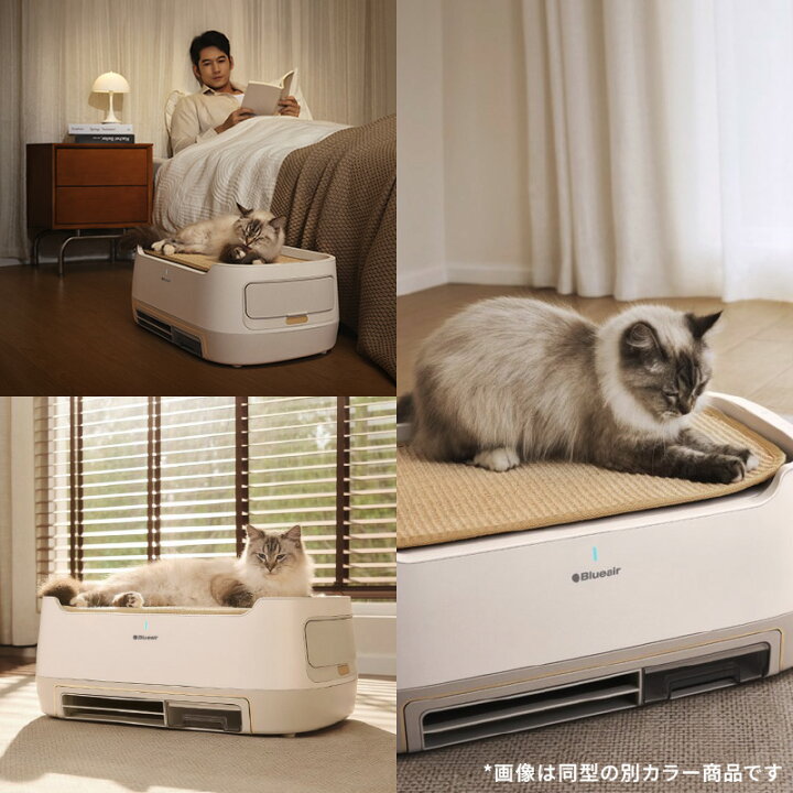 楽天市場】空気清浄機 ブルーエア PetAir Pro P3i Green 【オンライン 