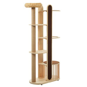 yŐVfzLbg^[  ^ FD ؐ 艺肵₷ u S173cm R ybgpi JSxbh^s