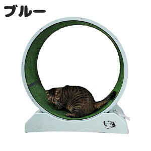 LbgzC[ L 񂵎 bNu ÉmCY Lp[i[ L jOzC[ LbgEH[N ^s XgX LbgjO}V ^Lp 