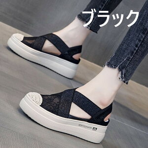 T_ fB[X 2color ₷ ؂ [X X|[cT_ wlC  T}[T_ Xj[J[ Xbp JWA T_ bV tbg V[Y ₷