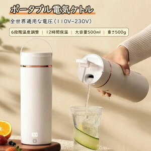 dCPg gїp 500ML |[^u|bg gxPg 300W } OFF 