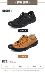 T_ XgbvT_ Y X|[cT_ PUv   Xb| ʋCQ ₷ bNX 2F AEghA ubN J[L ҂ݍ 񂾂 r[`T_ 