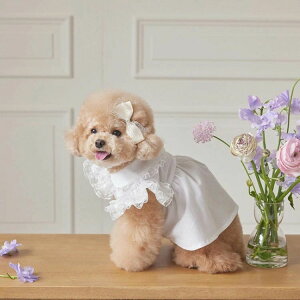 yP20{Izybg 킢  s[X wAst 2_Zbg Pl [X XJ[g ̎q hX hbOEFA  ^ ^