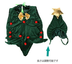 NX}Xc[ RXv NX}X c[ RX`[ ߑ xr[ Ԃ  ʐ^Bep NX}Xc[ LbY aLO QA[g NX}Xc[RXv O[