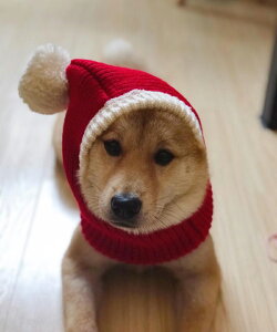 yP20{IzybgXq T^Xq jbg LpRXv ybg 蕨 jbgXq T^N[X T^ RXv L  NX}X H~ h LpEBbO L蕨 ybgRXv 