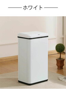 S~ 50L J ݔ   50bg 45LܑΉ e 50L ӂt X e Lb` rO ݔ @\ZT[ ^ O  XeX y_炸 _X