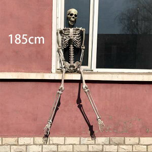  fBXvCKCRc y170cmz XPg hN | z[fBXvC ݂グ nMOXPg nEB u ݂グ[ z[nMO ~ 