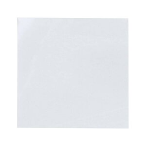 jgY ʐڒV[g 100mm×100mm 2 T284