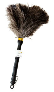 ESCI y{z_bV{[hfXÑzR I[Xgb`~jт΂ M25