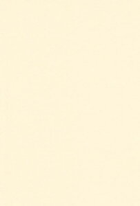 GXPg Fp A4 炿 100 211106
