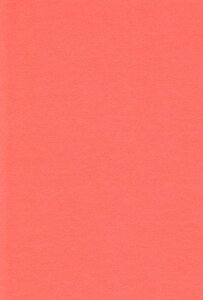 GXPg Fp A4  100 221306