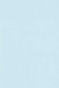 GXPg Fp A4 Cgu[ 100 213206