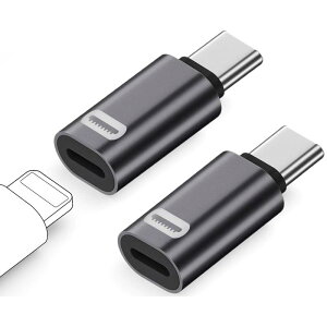 ���C�g�j���O �^�C�vc �ϊ� (2�Z�b�g) PD35W�}���[�d, 480Mbps�����Ńf�[�^�]��, Light-ning USB-C �ϊ��A�_�v�^ for iPhone 15�V���[�Y Galaxy S23 Note 20 iPad Pro Air 20