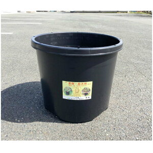 NP|bg60@@e60bg@^ v@10P[X̔@Aؔ@ a52cm^60Li17ju[x[[͔|